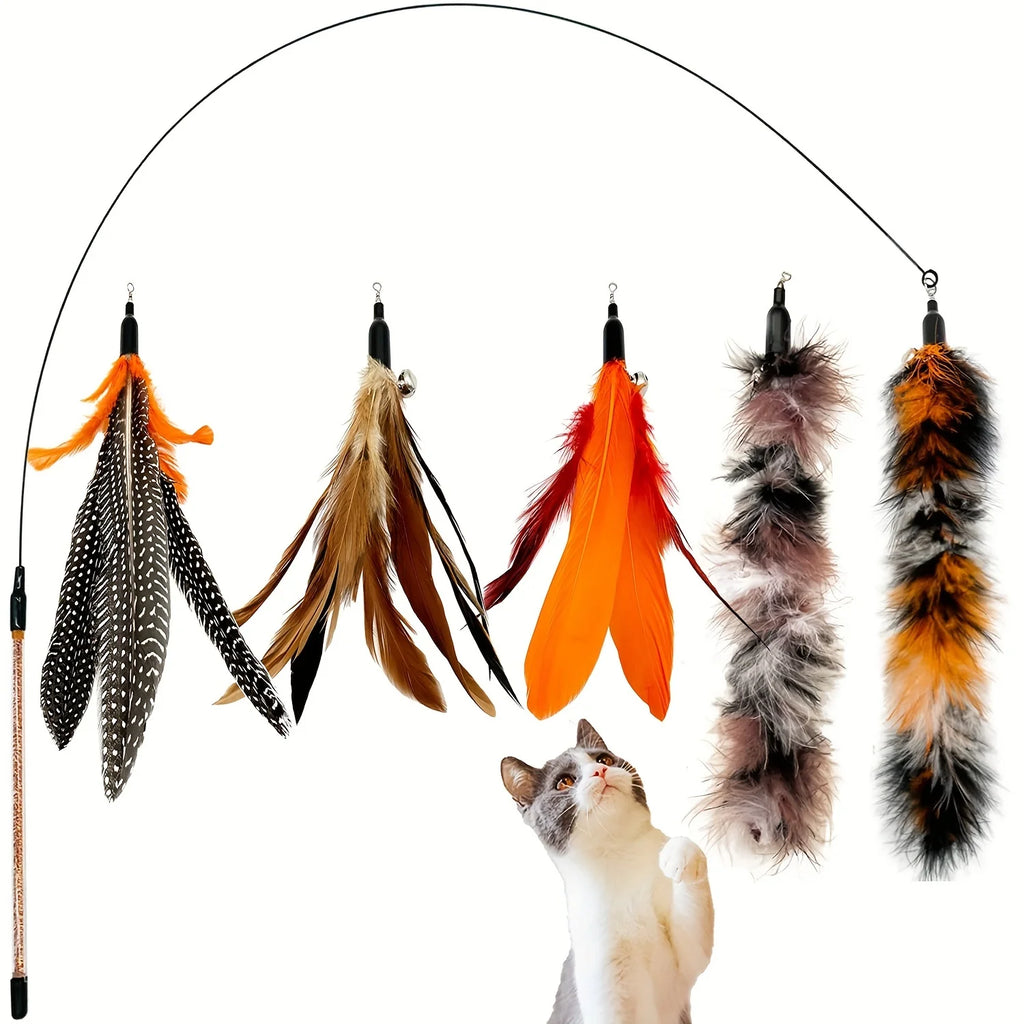 5 Pcs Replaceable Bird Feather Cat Wand Toy Set